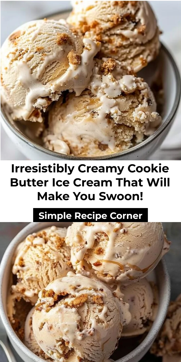 cookie butter ice cream: ultimate 5-ingredient creamy bliss